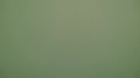 Michel online show from 11.28.25