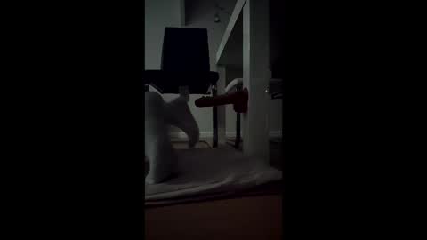 Snapshot of leehillery1 chatting on 12.17.25 leehillery1 online show from 12.17.25