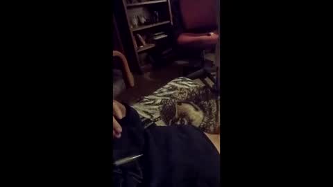 leftyusatisfied online show from 04.06.26