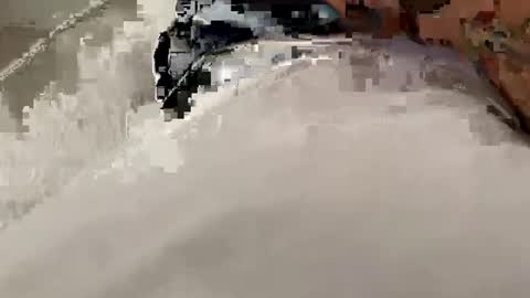 legal4 online show from 10.09.25