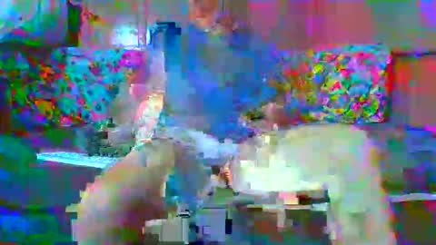 Snapshot of lemao77 chatting on 01.15.26 SEX MASTER online show from 01.15.26