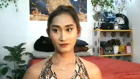 JANE online show from 02.21.26