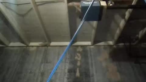 leo199984 online show from 11.27.25