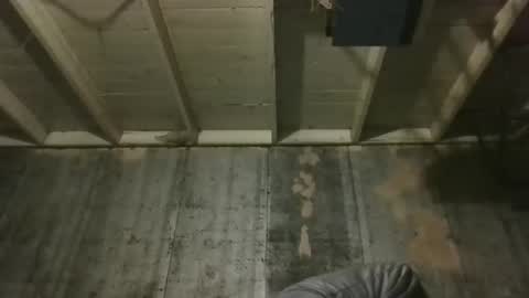 leo199984 online show from 12.19.25