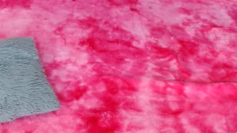 Snapshot of leonacutecam chatting on 12.11.24 LUCY online show from 12.11.24