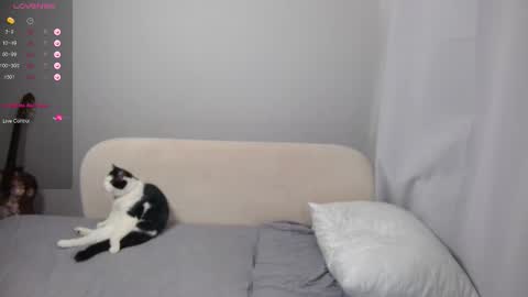 Snapshot of leonkissboy chatting on 03.01.26 leonkissboy online show from 03.01.26