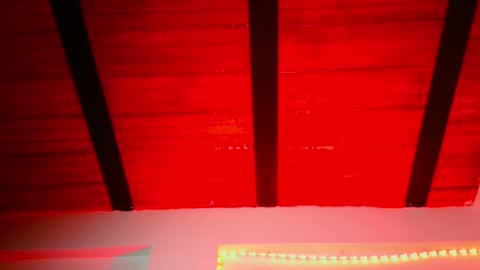 Lenardo jaramillo online show from 12.12.24