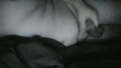 Snapshot of lethandor chatting on 12.25.24 Rayne online show from 12.25.24