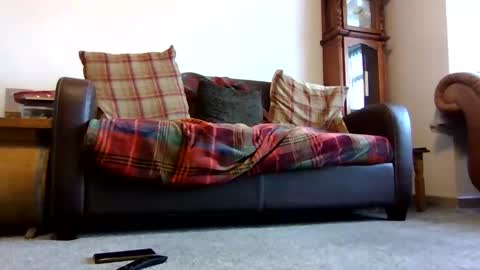 paul online show from 02.09.26