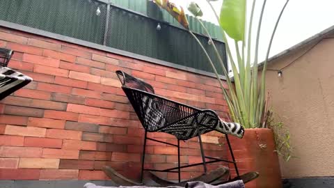 follow me  here you find me online show from 03.21.26