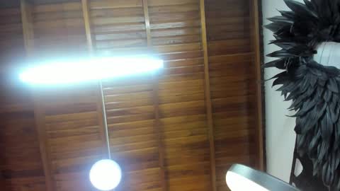 Snapshot of levy_steve chatting on 11.07.25 LevySteven online show from 11.07.25