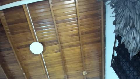 Snapshot of levy_steve chatting on 11.16.25 LevySteven online show from 11.16.25