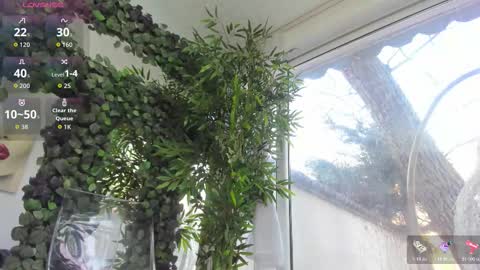 lexi_storm online show from 02.12.26