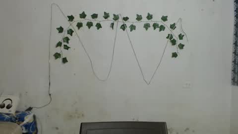 lolita online show from 01.04.25