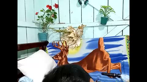 Lia online show from 09.13.25