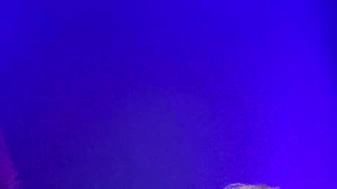 Snapshot of lickyouryoni chatting on 12.02.24 LickYourYoni online show from 12.02.24