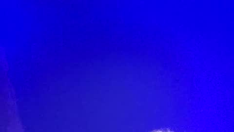 Snapshot of lickyouryoni chatting on 03.03.25 LickYourYoni online show from 03.03.25