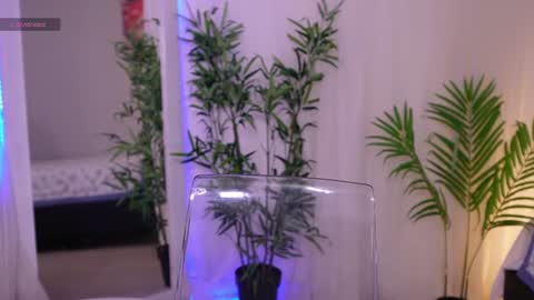 Snapshot of liia_sweett chatting on 06.19.26 Lia Sweet online show from 06.19.26