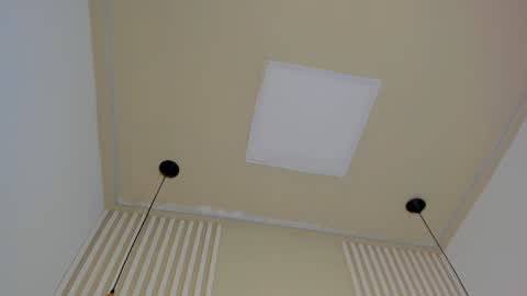 Snapshot of lila_cohen chatting on 01.14.25 L I L A online show from 01.14.25