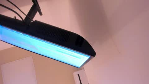 L I L A   online show from 03.30.26