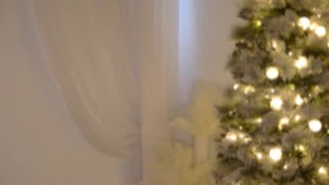 Rebecca online show from 12.17.25