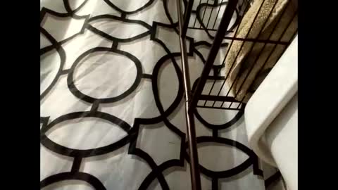 lilcalvo1 online show from 03.18.26