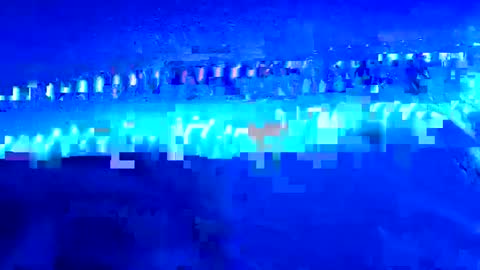 lildman420 online show from 11.30.25