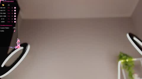 Snapshot of lili__roze_ chatting on 01.31.25 lili__roze_ online show from 01.31.25