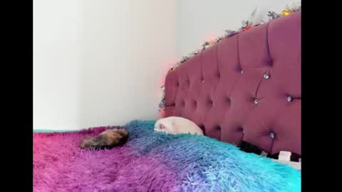 Snapshot of lilithintheeden chatting on 02.08.25 Lilith online show from 02.08.25