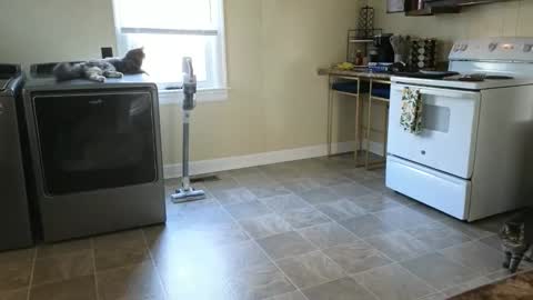 lilly_adams88 online show from 03.21.26