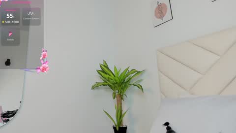   online show from 12.01.24