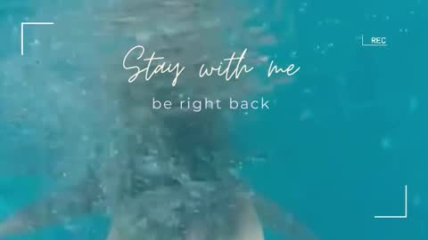 Lily online show from 11.02.25