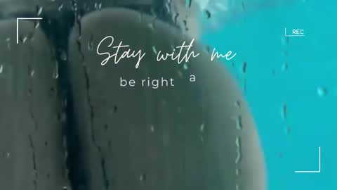 Lily online show from 11.09.25