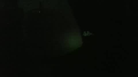 lily lovelyman online show from 12.26.24