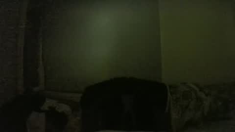 lily lovelyman online show from 02.01.25