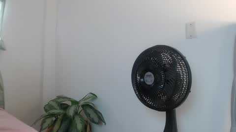 lily_rose0 online show from 06.04.26