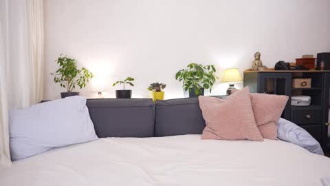 -- My Wishlist  online show from 02.15.26