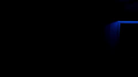 Snapshot of lina_vi chatting on 12.21.24 Lina online show from 12.21.24