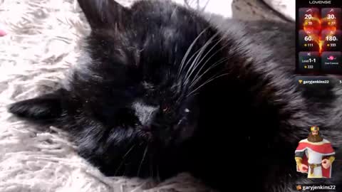 Lena online show from 04.24.26