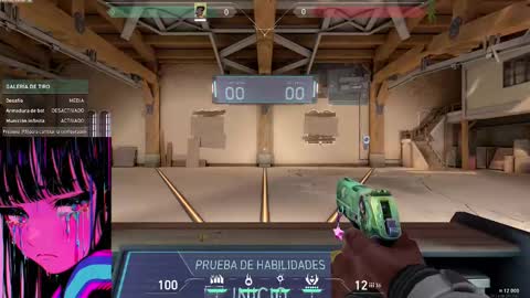 Snapshot of linddamortt chatting on 12.01.24 CatalinaANIDEA online show from 12.01.24