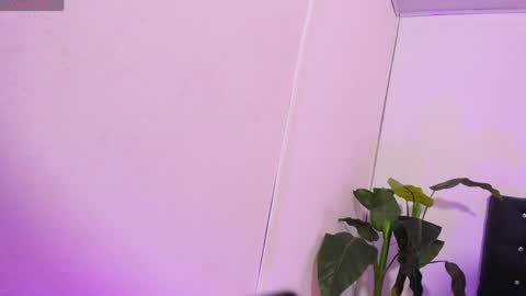 Linda  online show from 04.21.26