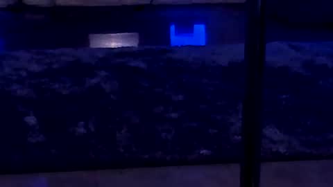 lisa_elfy online show from 01.24.25