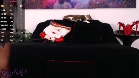 Snapshot of lisamusee chatting on 12.24.24 Lisamuse online show from 12.24.24