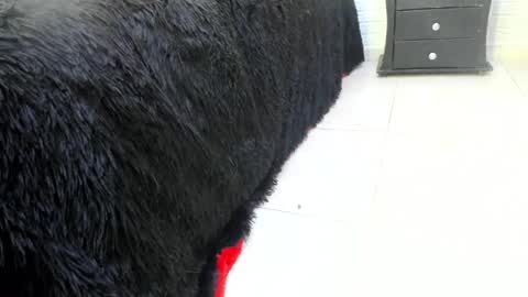 Misstress Martina  online show from 02.14.25