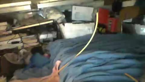 Snapshot of littlejay4773 chatting on 10.04.25 littlejay             littlejay online show from 10.04.25