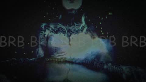 Niki  free tg channel with some photos gifs and info about streams  online show from 01.25.25