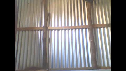 yanah online show from 11.05.25