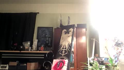 Liv Mirage online show from 04.11.26