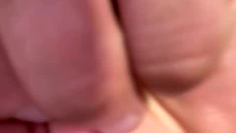 locsgunna916 online show from 06.03.26