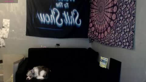 londonray online show from 10.08.25